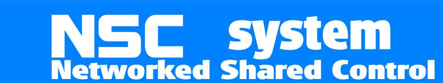 NSC system Logo